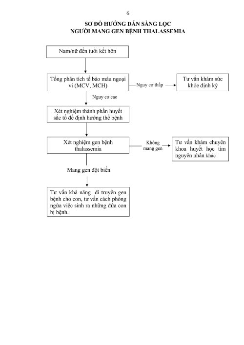 BYT.-QD-3472-tu-van-kham-suc-khoe-tien-hon-nhan-hình ảnh-18.jpg