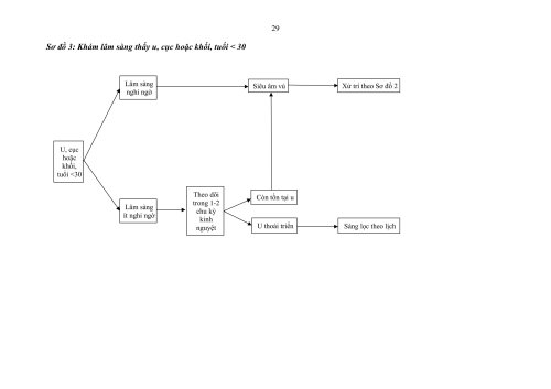 2HDSLUTV.signed-h&igrave;nh ảnh-28.jpg