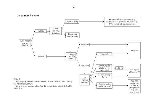 2HDSLUTV.signed-h&igrave;nh ảnh-33.jpg
