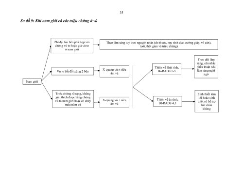 2HDSLUTV.signed-h&igrave;nh ảnh-34.jpg