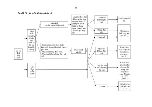 2HDSLUTV.signed-h&igrave;nh ảnh-35.jpg