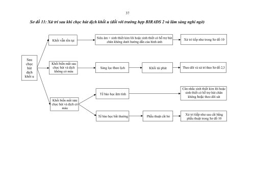 2HDSLUTV.signed-h&igrave;nh ảnh-36.jpg